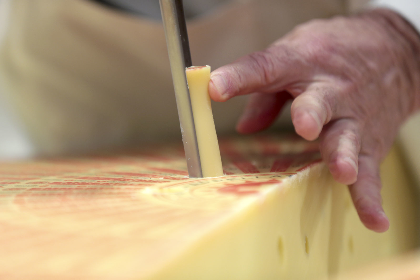 World Championship Cheese Contest